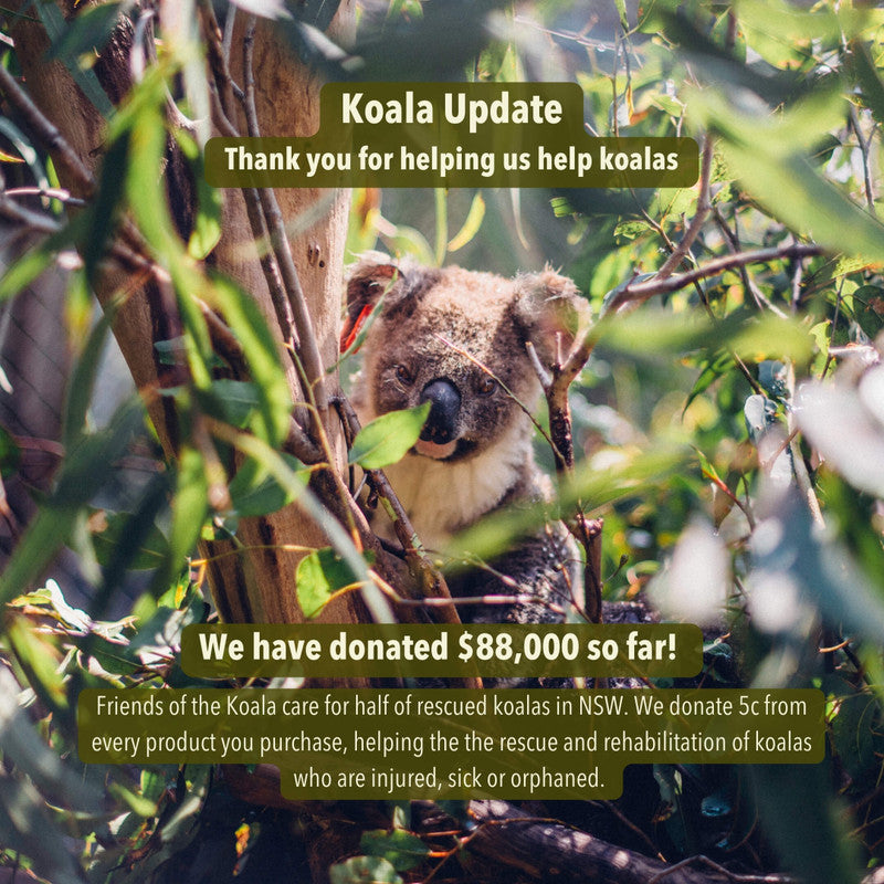 Koala donation update.